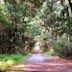 Skidaway Island State Park