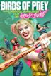 Birds of Prey: The Emancipation of Harley Quinn