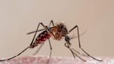 Mosquito Population Boom Expected After Mild Winter in Michigan | Newsradio WOOD 1300 and 106.9 FM | WOOD Radio Local News