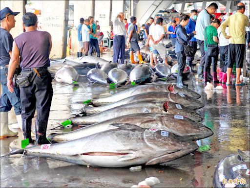 《屏東》日提增捕黑鮪配額 東港漁民贊同
