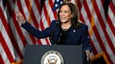 Market expert says the Kamala Harris-backed unrealized capital gains tax would be an 'unmitigated disaster'