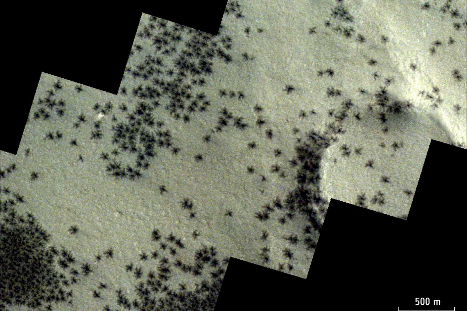 The ESA's ExoMars Orbiter Captures Swarms of Dark "Spiders" on the Surface of Mars