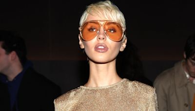 Iris law just wore the luxury bag all fashion editors want