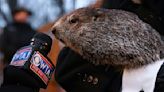 Groundhog Day: What is This Wacky Holiday About, and Who Is Punxsutawney Phil?