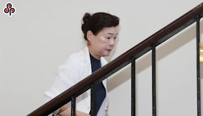 朝野協商「電價凍漲」 王美花：照顧庶民全世界僅見