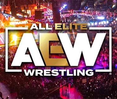 AEW Talent Out Of Action Due To Concussion Issues - PWMania - Wrestling News