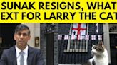 When will Rishi Sunak vacate 10 Downing Street for Keir Starmer & what happens to Larry the Cat? - News18
