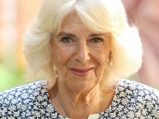 Royal Family Unveils Striking New Photo of Queen Camilla with Her Hands in the Air Surrounded by Children