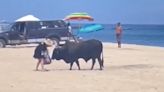 Un toro embiste a una mujer en una playa surfera de México