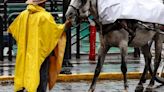 Clima HOY: Alertan por lluvias intensas en Jalisco este jueves 11 de julio