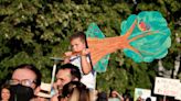 Hungarians renew protest at 'forest destruction' as government rolls back some changes