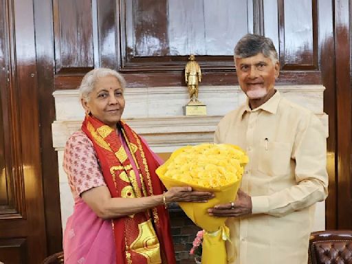 Chandrababu Naidu meets FM Nirmala Sitharaman, seeks financial aid for debt-ridden Andhra Pradesh