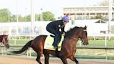 Myrtle Beach man has stake in horse running in Kentucky Derby. Here are odds it will win