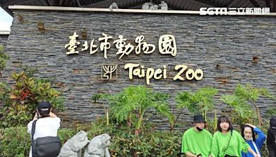 周邊停車費好貴！北市動物園一日遊「花費恐破千」 家長大喊吃不消