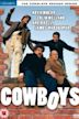 Cowboys (TV series)