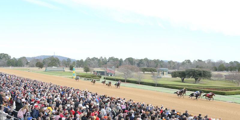 oaklawn casino hot springs