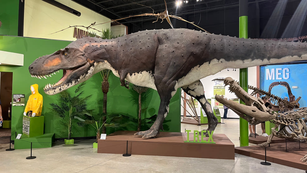 Indiana Dinosaur Museum opens in South Bend