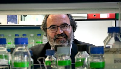 Lluís Montoliu, científico del CSIC: “Los primeros que estaríamos encantados de dejar de usar animales somos los investigadores”