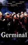 Germinal (1993 film)