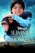 Summer of the Monkeys (film)