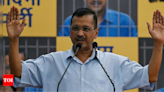 'Trial court did not apply its mind': Delhi high court puts Arvind Kejriwal's bail order on hold | India News - Times of India