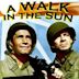 A Walk in the Sun (1945 film)