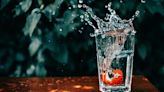 ¿Cómo desinfectar agua para beber? | El Universal