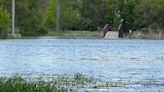 High school coach rescues 12-year-old boys trapped by floodwaters