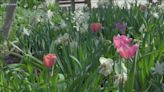 Bloomin Brilliant: The Idaho Botanical Garden celebrates 40 years