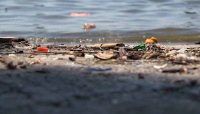Is the Inner Harbor really safe to swim in? FOX45 runs independent water quality test