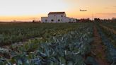 Parc Agrari del Baix Llobregat: un milagro rural, ecológico y gastronómico a un paso de Barcelona