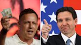 Peter Thiel says Ron DeSantis would 'make a terrific president'