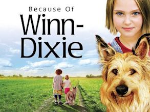 Winn-Dixie – Mein zotteliger Freund
