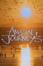 Amazing Journeys