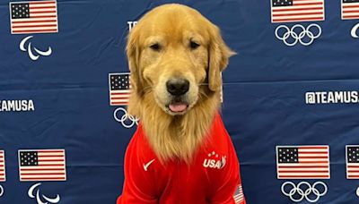 Meet Beacon, the Golden Retriever Who Had an Important Role at the U.S. Olympic Gymnastics Trials