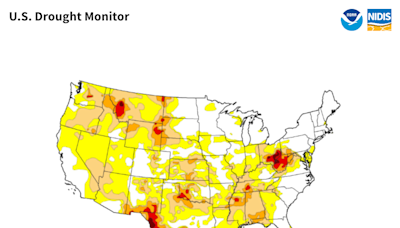 Ohio issues open burning ban in 24 counties because of drought conditions