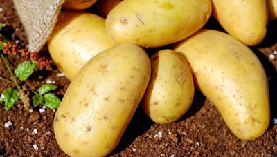 Tres enfermedades que se combaten comiendo patatas