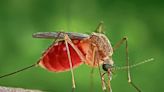 Northeast Ohio counties get help from the state to eradicate mosquitoes