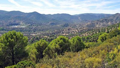 El espectacular parque natural que está en plena Sierra Morena y es hogar del lince ibérico y el águila imperial