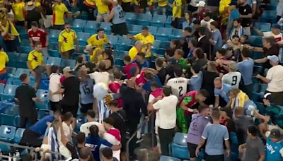 Liverpool's Darwin Nunez jumps into the crowd and starts punching FANS