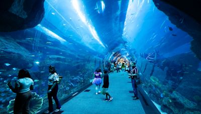 The Best Things to See and Do in Dubai With Kids