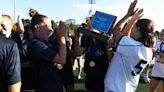 Manheim Township girls dump Wilson to pick up another District 3 Class 3A lacrosse championship