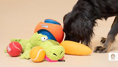 The best toys for every type of dog