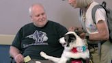 Therapy dogs spread sunshine to seniors