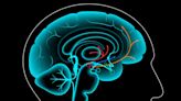 Cuáles son los beneficios del "ayuno de dopamina" y qué pasa en tu cerebro cuando te abstienes del exceso de placer