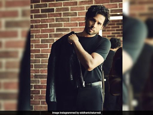 IIFA 2024: Siddhant Chaturvedi Is "Nervous" To Host With Shah Rukh Khan And Karan Johar