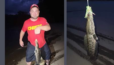 Fisherman says he caught an invasive ‘air-breathing’ fish during his latest fishing trip