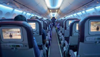 Plane diverted after passenger exposes himself and pees in aisle | Canada