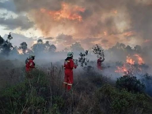 Incendios forestales: “Lo que se quema no se recupera”, se advierte desde Cusco