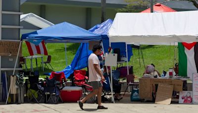 Piden a la Universidad de Puerto Rico cesar relación con fabricantes de armas "genocidas"